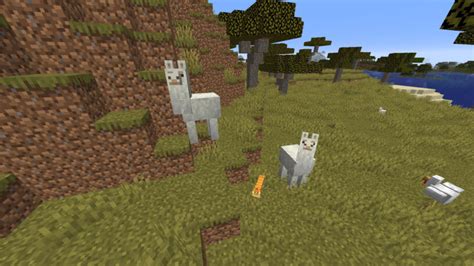 Comment Apprivoiser Un Lama Dans Minecraft