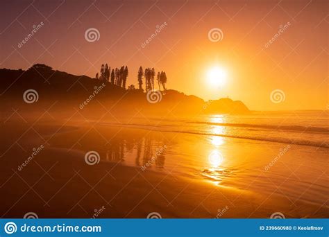 Bright Sunrise With Ocean Waves And Rocks With Trees Joaquina Beach In