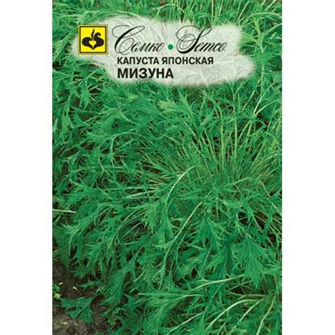 Капуста японская Мизуна Семко (40554): купить семена почтой в ...