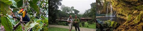 Explore the Forests in Borneo – Douglas & Francis