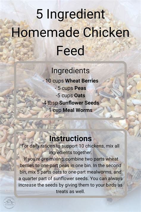 How To Make Homemade Chicken Feed