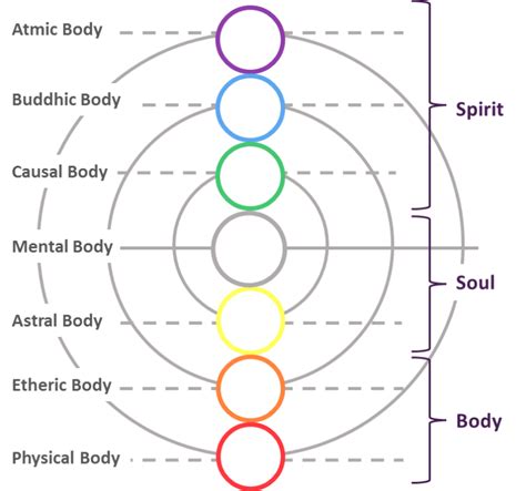 Our Invisible Bodies Body Mind Spirit Etheric Body Energy Healing Reiki