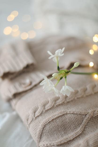 Premium Photo Knitted Beige Sweater And Delicate Spring Flower Winter