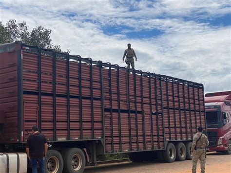 Polícia Faz Operação Para Combater O Crime Organizado Na Divisa Do