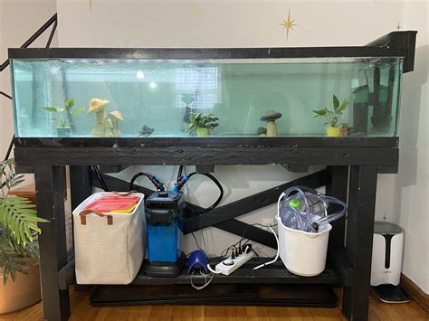 Key Details About 100 Gallon Fish Tank Dimensions Choosing The Right