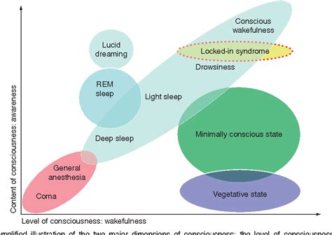 Levels Of Consciousness Chart