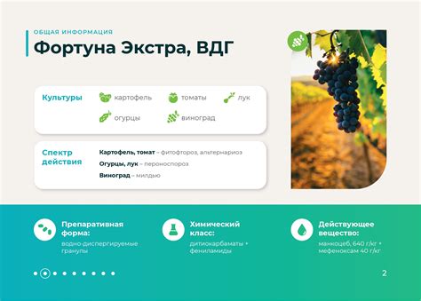 Фортуна экстра | prezentacia.ru