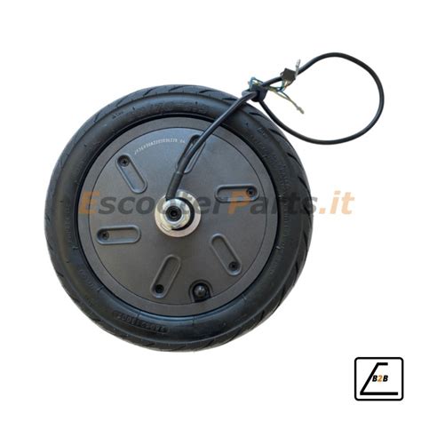 Ruota Motore Completa Di Copertone 60 70 6 5 Vivo S4 Nero 36V 400W