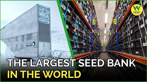 The Largest Seed Bank In The World YouTube