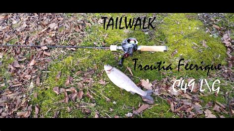 Форель на заброшенной ферме Tailwalk Troutia Feerique C49 L G YouTube