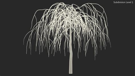 Nude Weeping Mulberry 3D Model 39 3ds Blend C4d Fbx Max Ma Lxo Obj Free3D