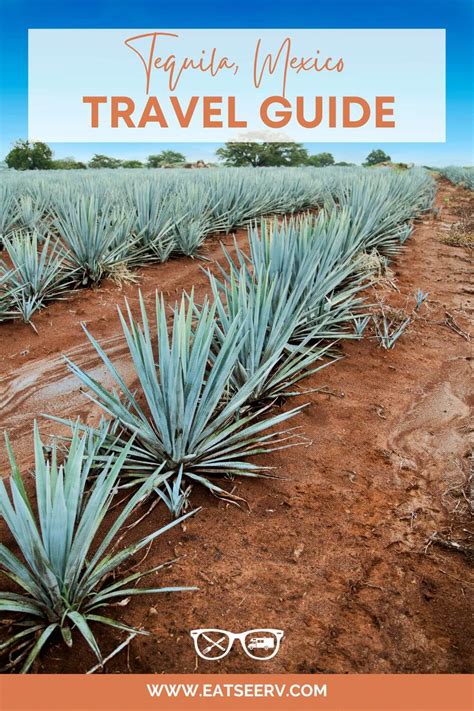 Guide To Visiting Tequila, Jalisco: Mexico's Tequila Town