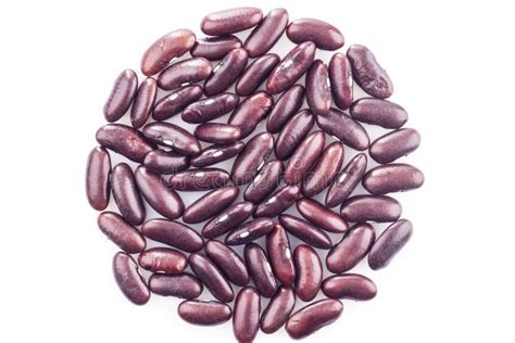 Haricot beans stock photo. Image of plant, edible, dietary - 36981312