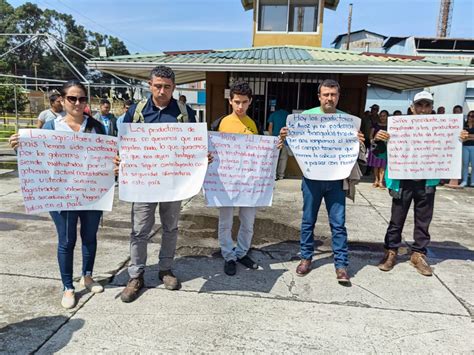 Peque Os Arroceros Demandan Judicialmente Al Presidente Rodrigo Chaves