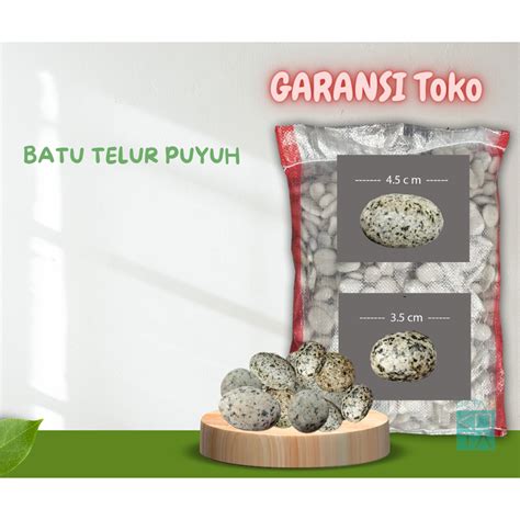 Jual Batu Hias Taman Aquascape Telur Puyuh Karung 10 Kg Shopee Indonesia