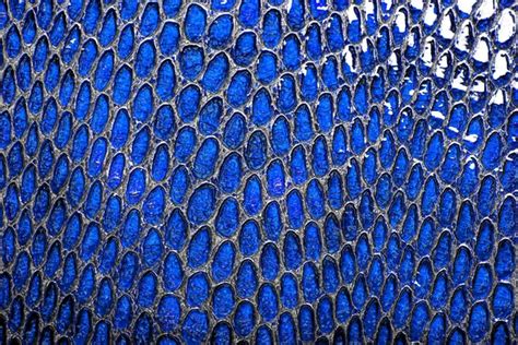 Blue snake skin background Stock Photo by ©domnitsky.yar 87834098