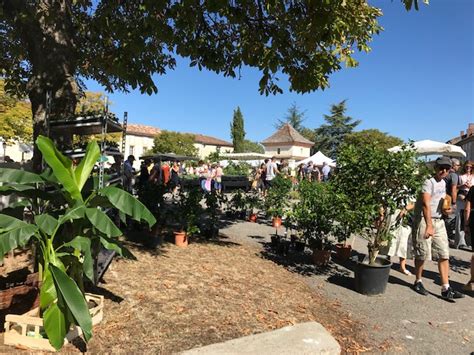 La foire aux plantes à Villeneuve sur Vère Philippe Bonnecarrère