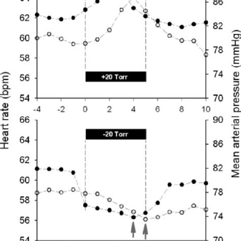 Heart rate HR and mean arterial pressure MAP responses to þ 20 Torr