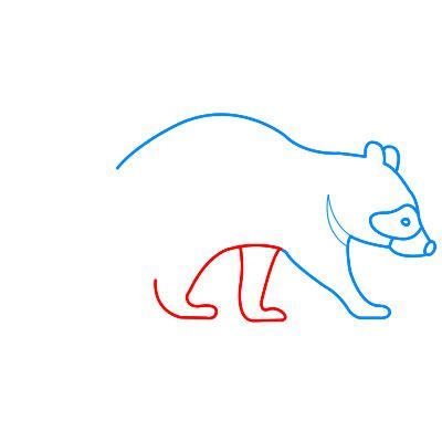 How To Draw Black Bear - Art & Craft