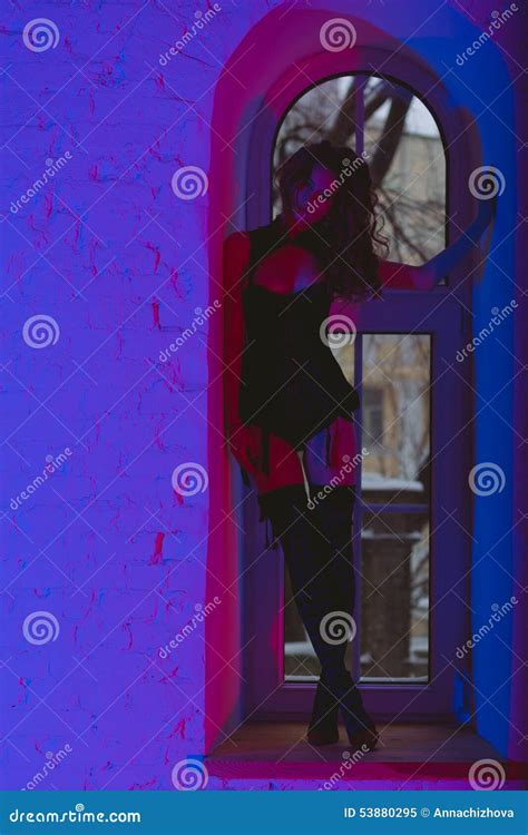 Brunette Woman In Lingerie Stock Image Image Of Erotic 53880295