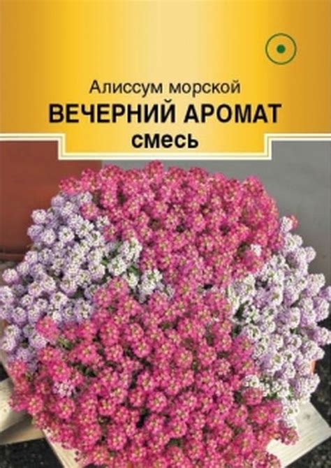 Купить семена алиссума в Москве и с доставкой по всей России