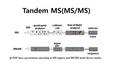 Ppt Mass Spectrometry Powerpoint Presentation Id2197253