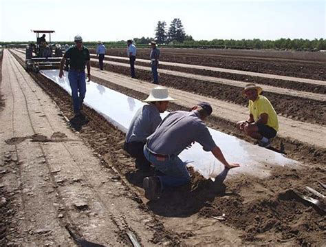 La solarización para desinfección de suelos Agromática