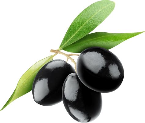 Black Olives Trio | Olive, Black olive, Fruit