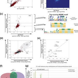 Methyl Dna Immunoprecipitation Sequencing Medip Seq Analysis Of Dna