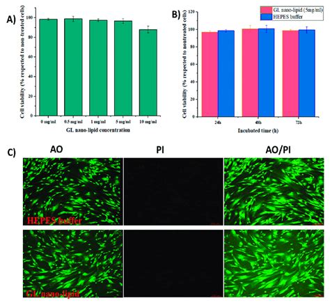 A The Cytotoxicity Of Mscs Treated With Different Gl Nano Lipid