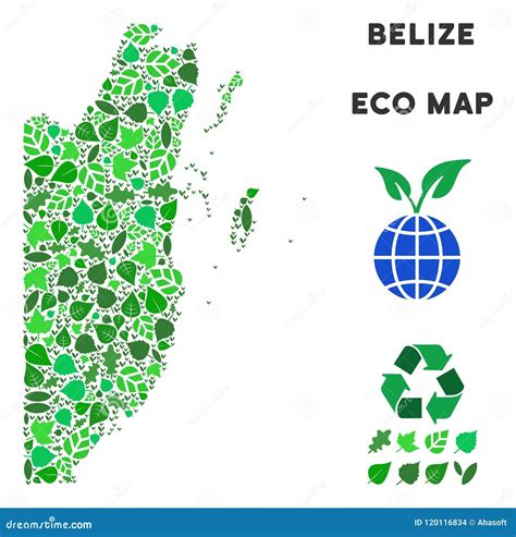 Mapa De Belize Do Mosaico Do Verde Da Ecologia Do Vetor Ilustra O Do