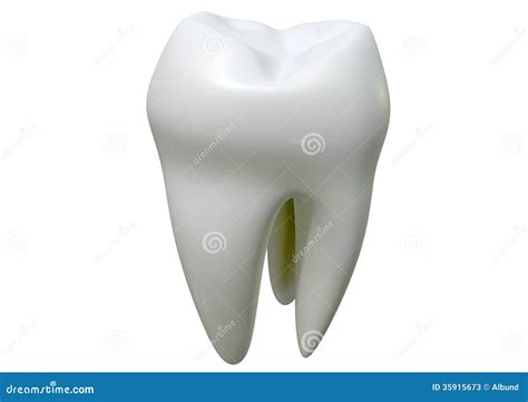 Single Tooth Stock Photos Image 35915673