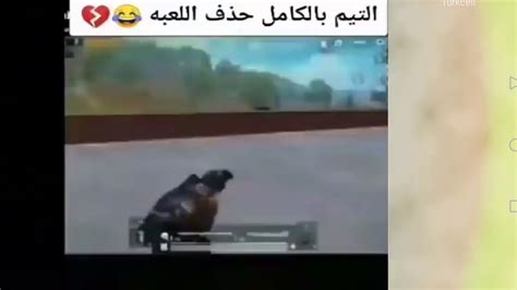 مقاطع مضحكة ببجي موبايل Youtube