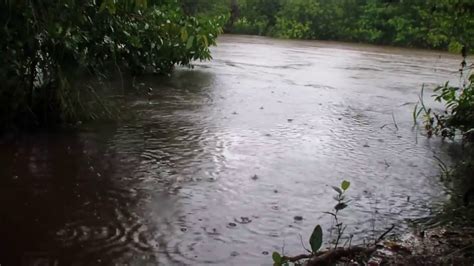 White Noise Rain Sounds For Sleep Focus Studying Rainstorm Baby