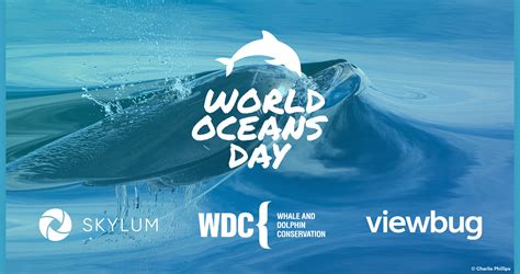 World Oceans Day [2020] ⭐ Celebrating All Month Long | Skylum Blog