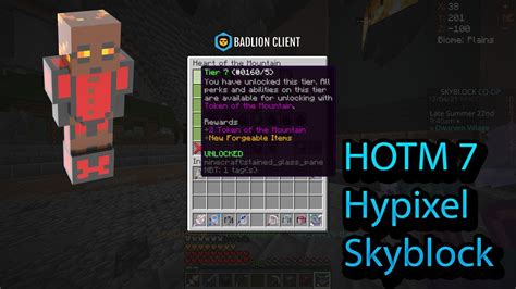 Je Passe Hotm Hypixel Skyblock Fr Youtube