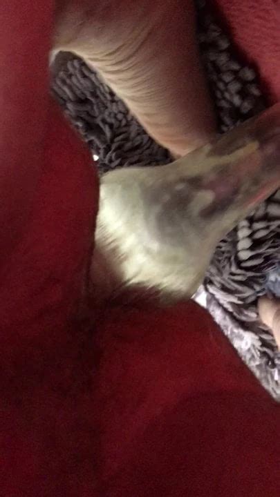 Fucking My Hole Gay Amateur Amateur Porn Xhamster