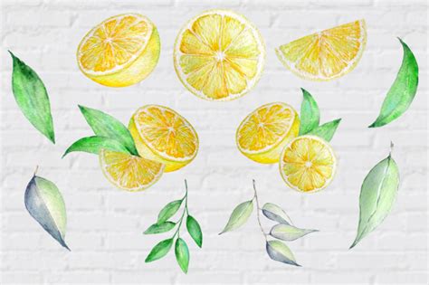 Watercolor Lemon Clipart Tropical Fruit By Svetaartlana Thehungryjpeg