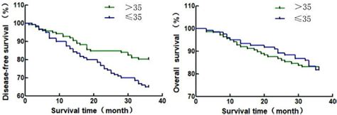 Three Year Cumulative Dfs And Os Curves Of 2 Groups Dfs Disease Free Download Scientific