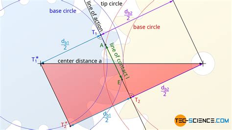 Calculation Of Involute Gears Tec Science