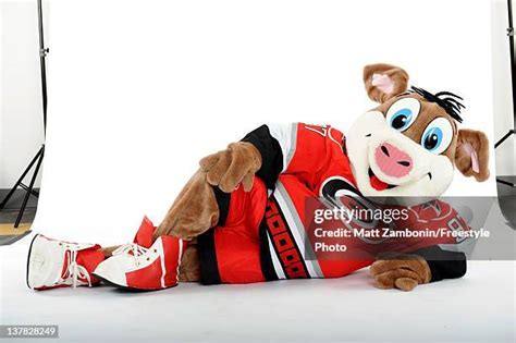 Carolina Hurricanes Mascot Photos and Premium High Res Pictures - Getty ...