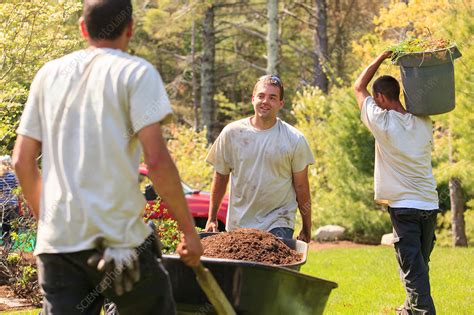 Landscapers At Work In Garden Stock Image F0177887 Science Photo