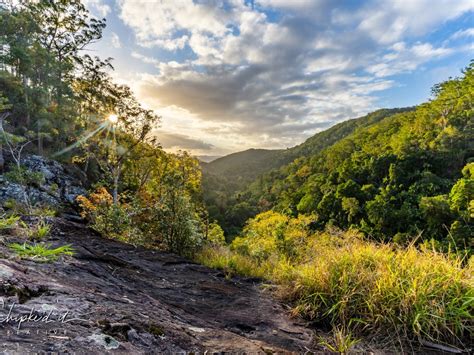 Kondalilla National Park - Montville Attractions | localista