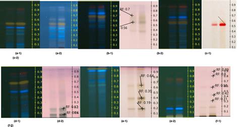 Hptlc Fingerprinting Analysis A Uv Nm Pre Derivatization A