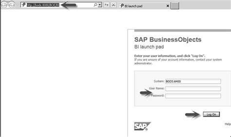 Sap Webi Quick Guide Laptrinhx