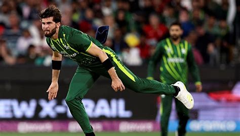 Shaheen Afridi Picked As Top Wicket Taker In World Cup 2023