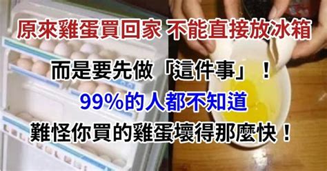 原來雞蛋買回家不能直接放冰箱，而是要先做「這件事」！99％的人都不知道，難怪你買的雞蛋壞得那麼快！