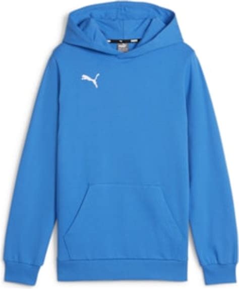 Puma Teamgoal Casuals Hoody Jr Ignite Kaufland Cz