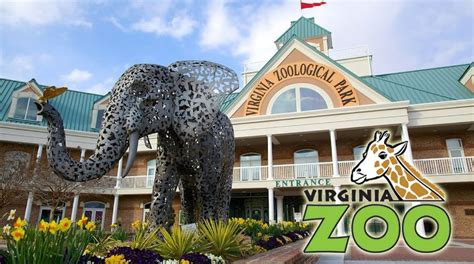 Virginias Best Zoos And Aquariums For Kids Visit Us