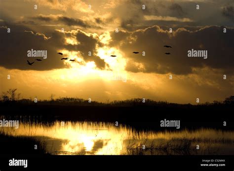 Everglades National Park Enp Landscape Wetlands Stock Photo Alamy